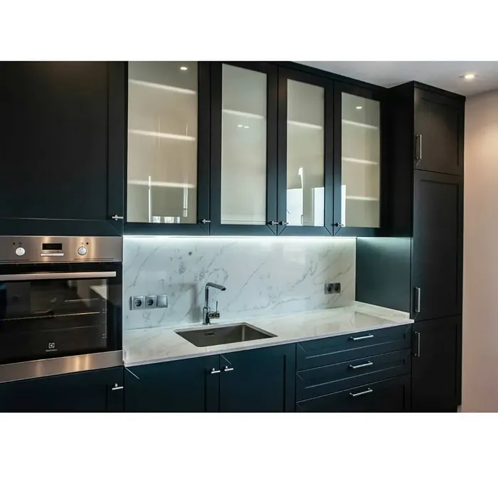 RAL 8022 kitchen cabinets 