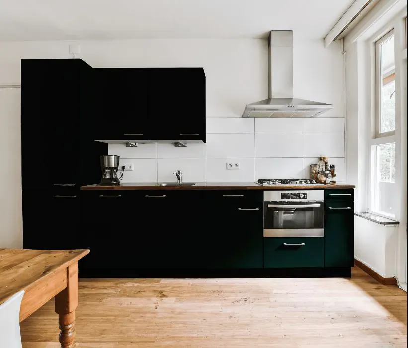 Sherwin Williams Black Emerald kitchen cabinets