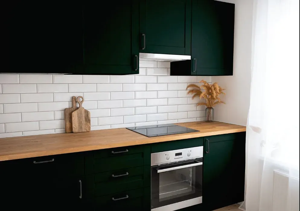 Sherwin Williams Black Emerald kitchen cabinets