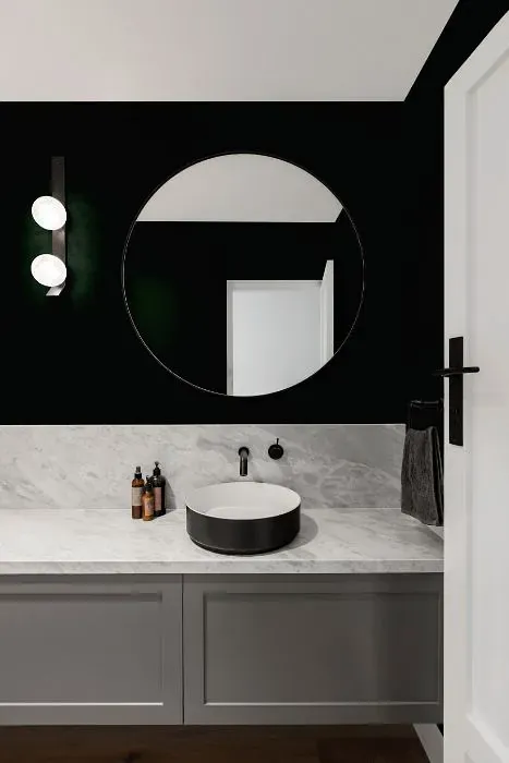 Sherwin Williams Black Emerald minimalist bathroom