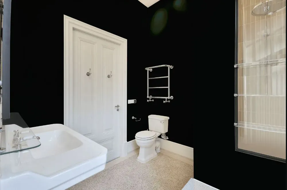 Sherwin Williams Black Emerald bathroom