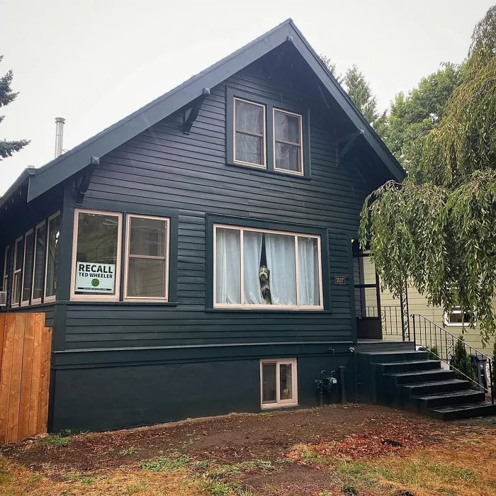 Sherwin Williams Black Emerald house exterior color