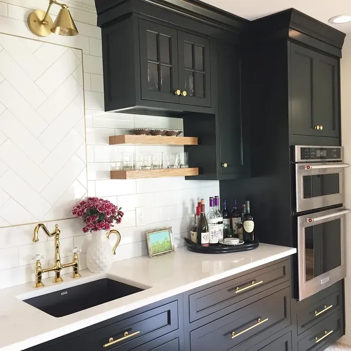 Sherwin Williams Black Emerald kitchen cabinets 