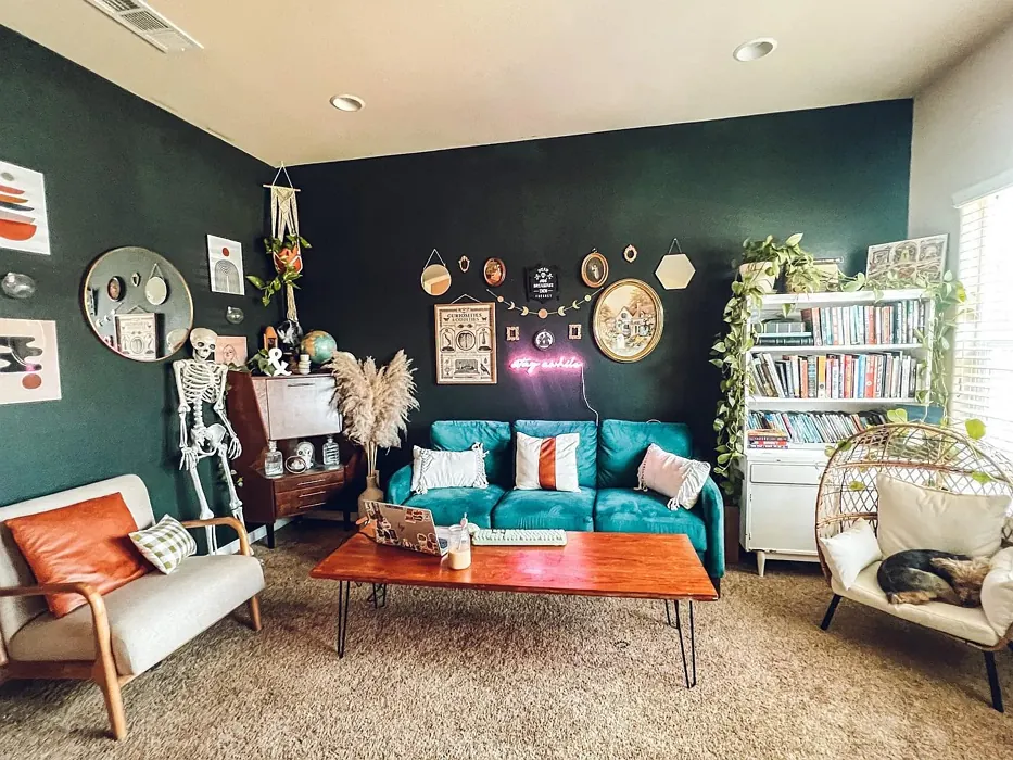 Sherwin Williams Black Emerald living room color