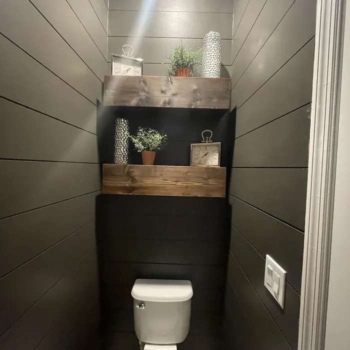 Sherwin Williams Black Fox bathroom color review