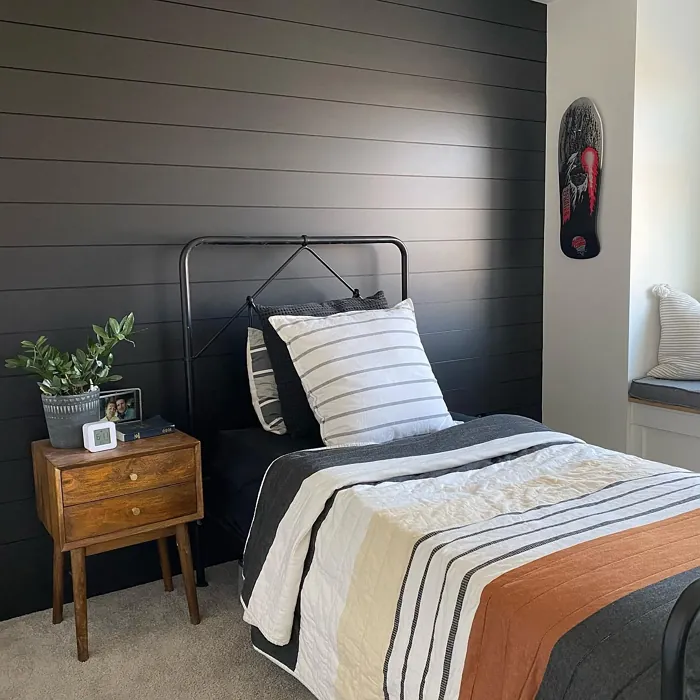 Sherwin Williams SW 6991 bedroom accent wall