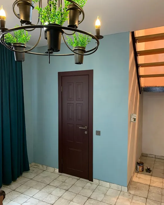 RAL 3007 door review