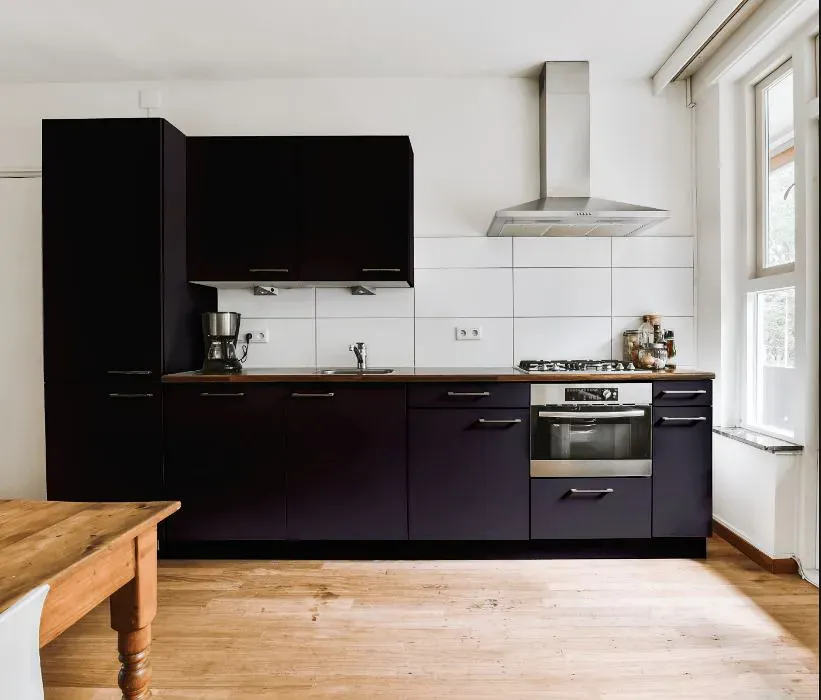 Sherwin Williams Black Swan kitchen cabinets