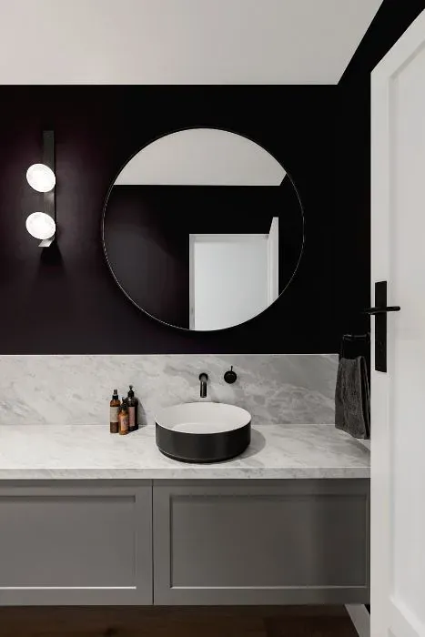 Sherwin Williams Black Swan minimalist bathroom