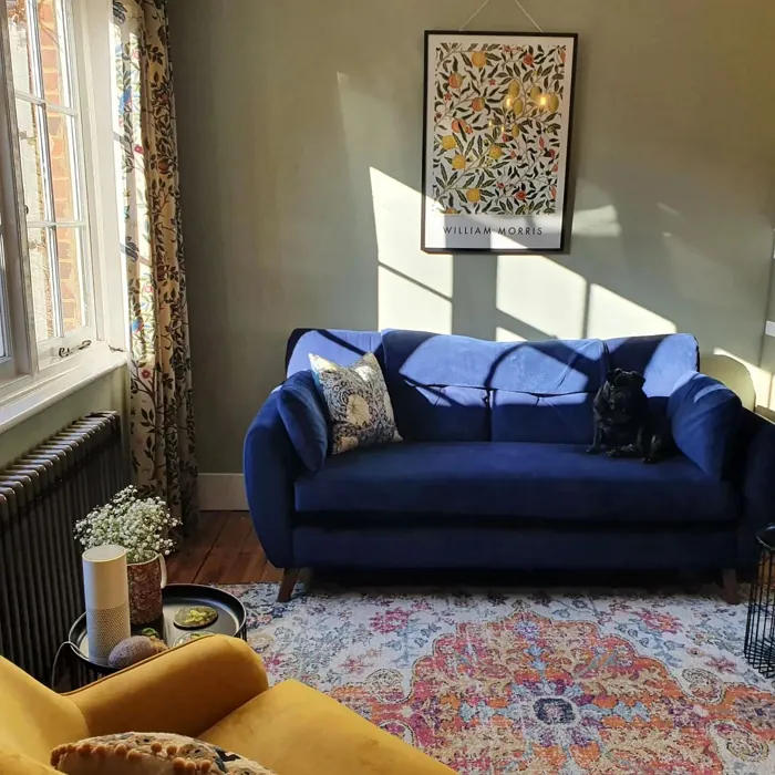 Farrow and Ball Blue Gray 91 living room