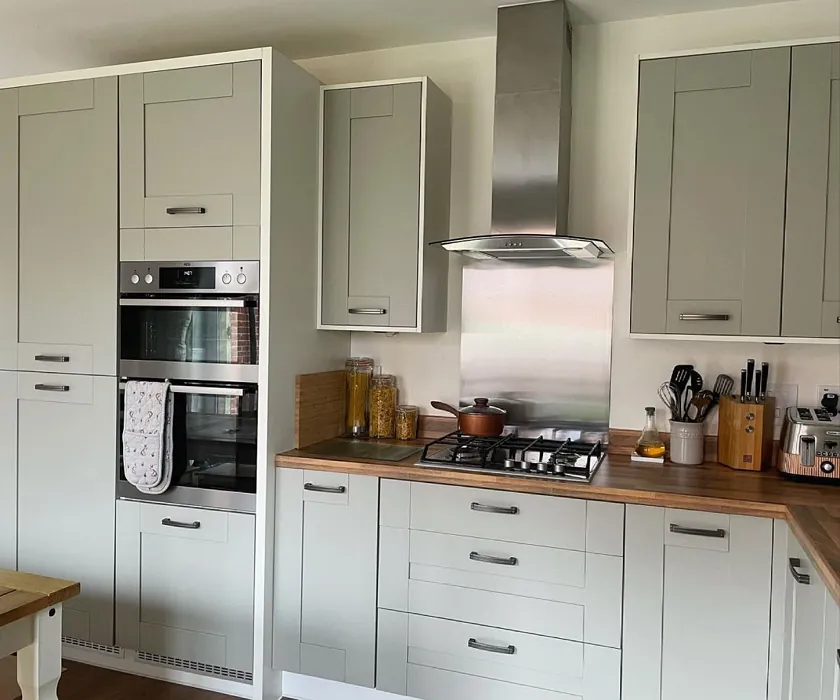 Farrow and Ball Blue Gray 91 kitchen cabinets