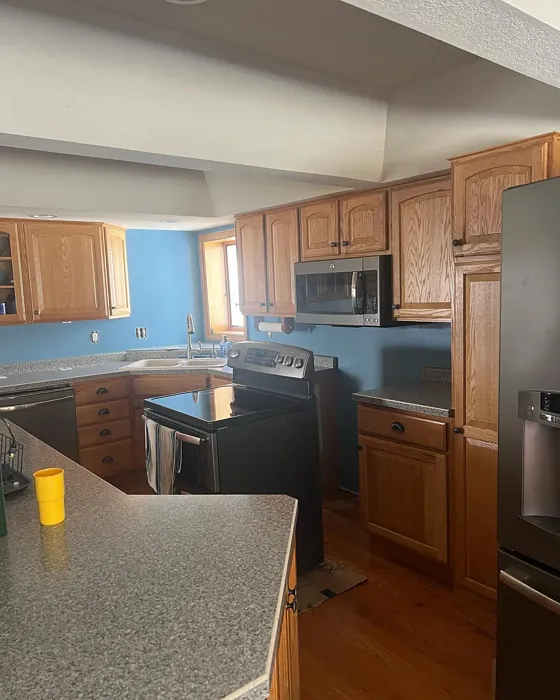 Sherwin Williams Bluebird Feather kitchen paint review