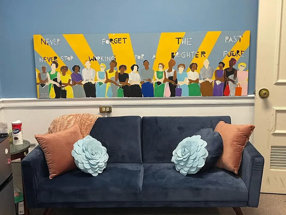 Bluebird Feather living room paint