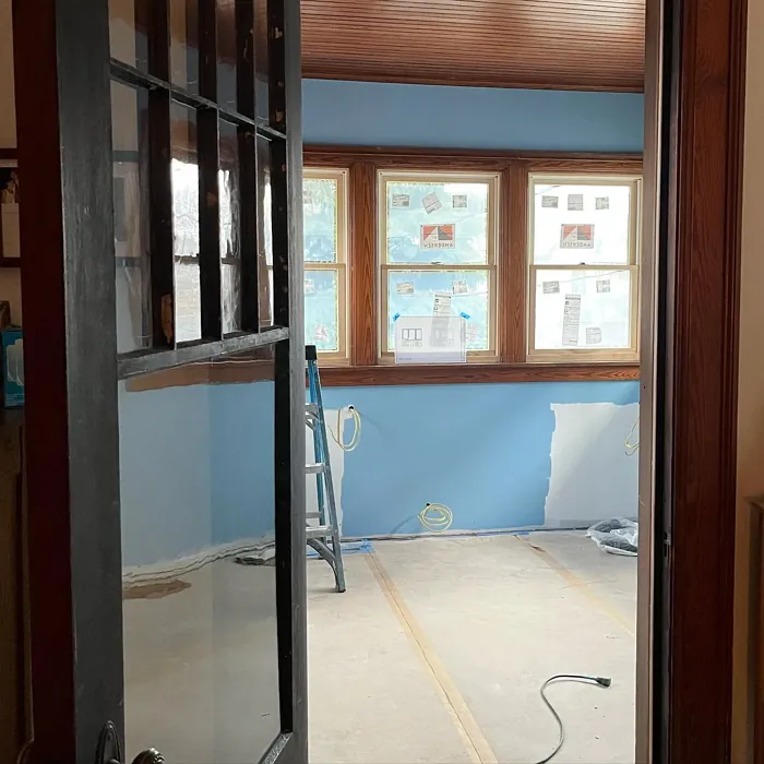 SW Bluebird Feather wall paint color