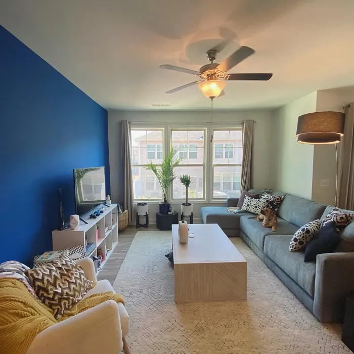 SW Blueblood living room accent wall