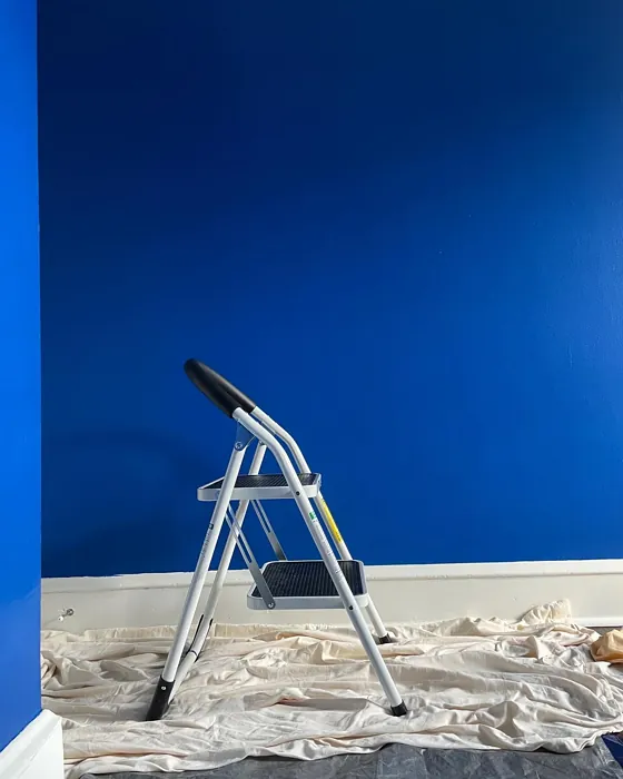 Sherwin Williams Blueblood wall paint 