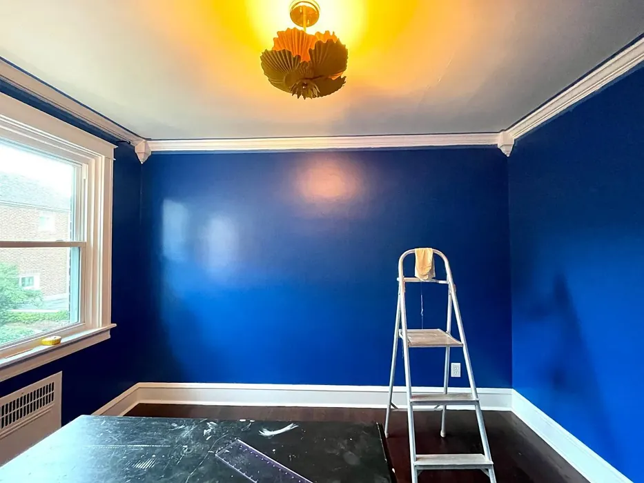 Sherwin Williams Blueblood wall paint review