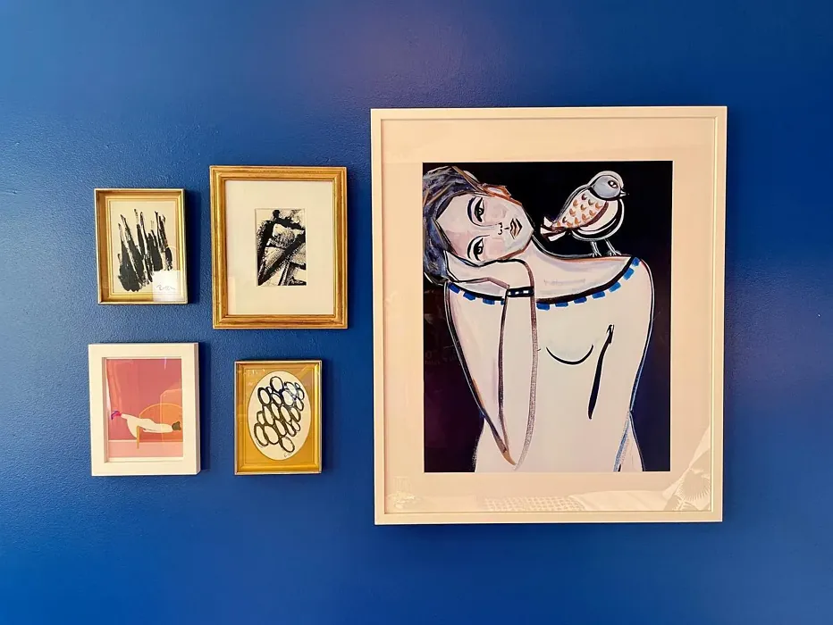 SW Blueblood bedroom paint review