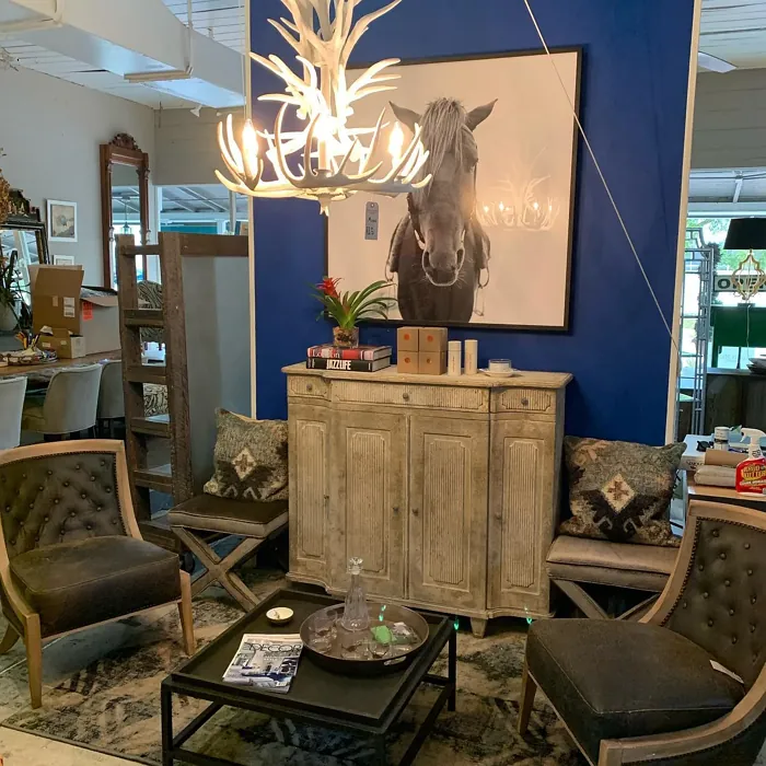 Sherwin Williams Blueblood accent wall paint review