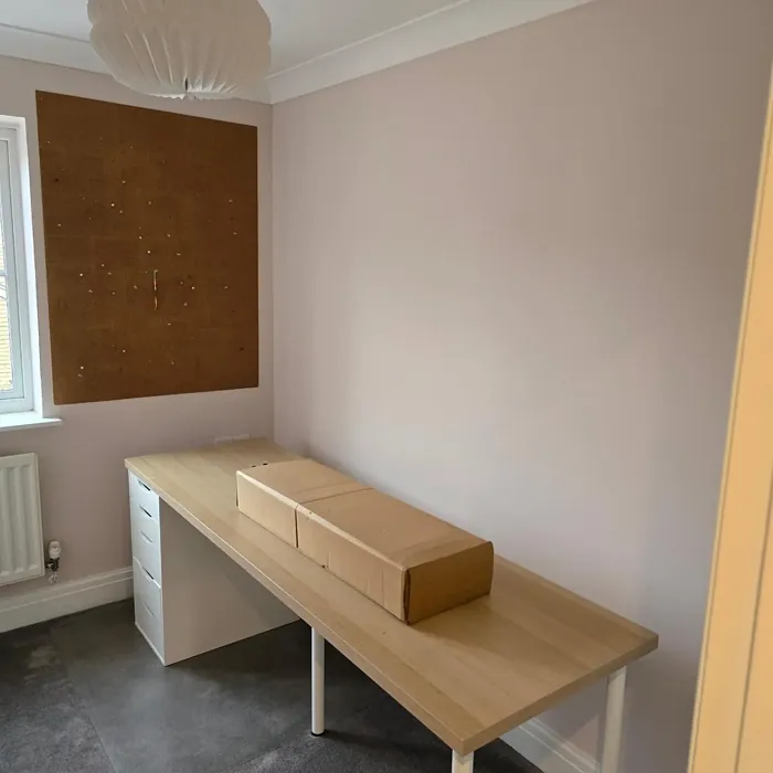 Dulux Blush Pink home office color