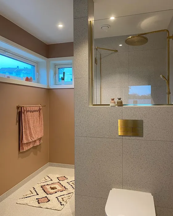 Blushing Peach bathroom inspiration