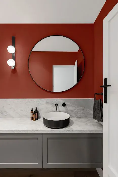 Sherwin Williams Bold Brick minimalist bathroom