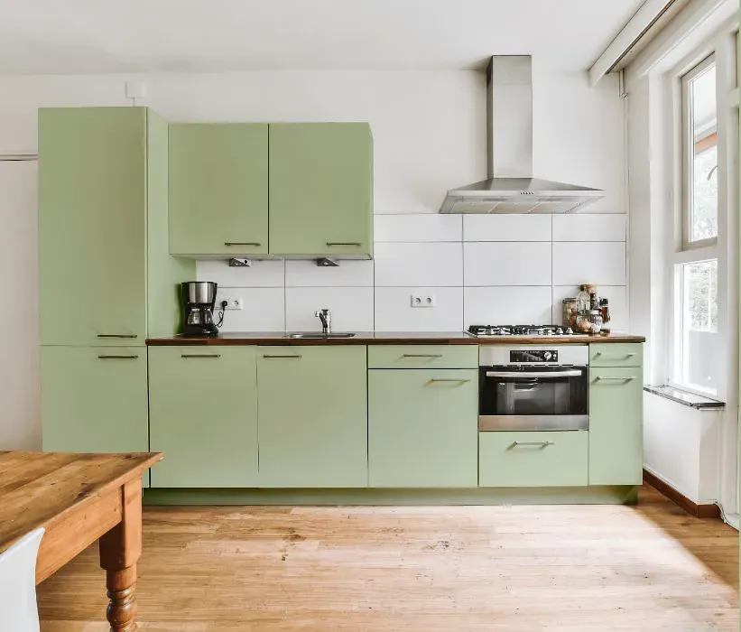 Sherwin Williams Bonsai Tint kitchen cabinets