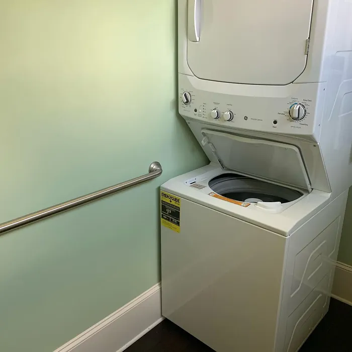 Sherwin Williams Bonsai Tint laundry room interior