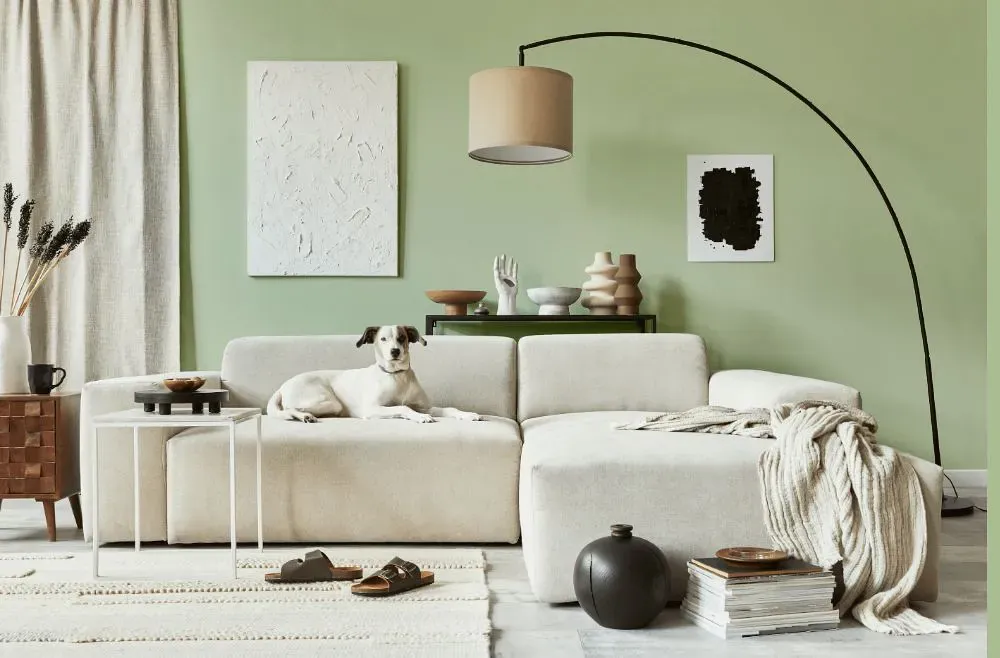 Sherwin Williams Bonsai Tint cozy living room