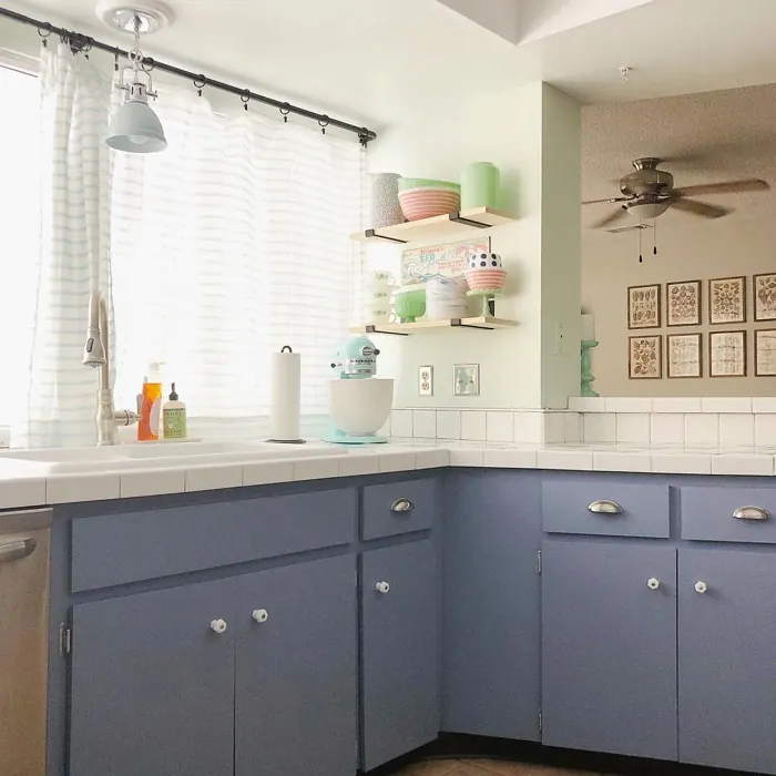 SW Bracing Blue kitchen cabinets color