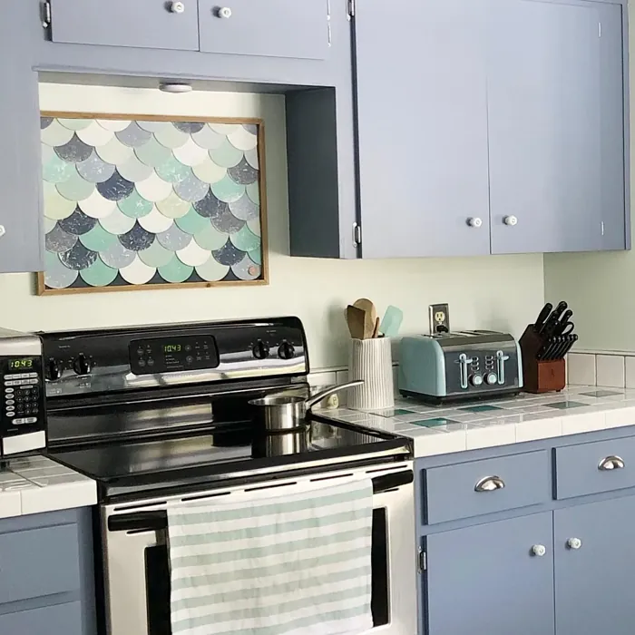SW Bracing Blue kitchen cabinets 