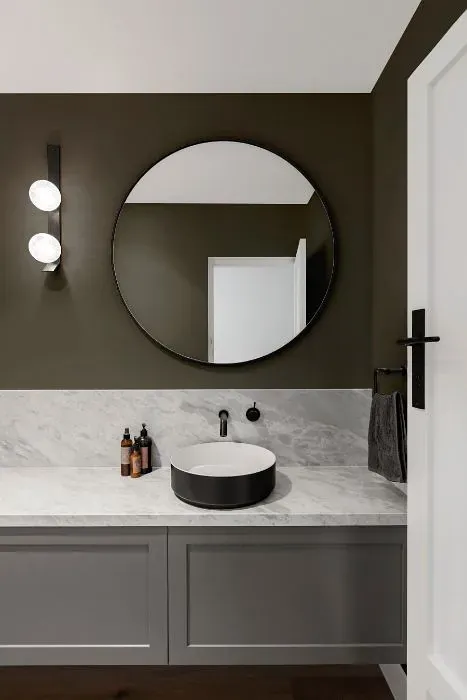 Sherwin Williams Braintree minimalist bathroom