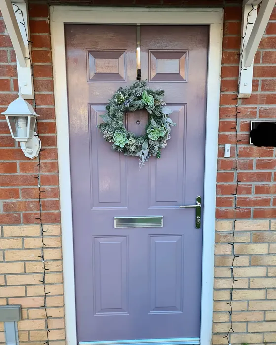 Brassica front door paint review