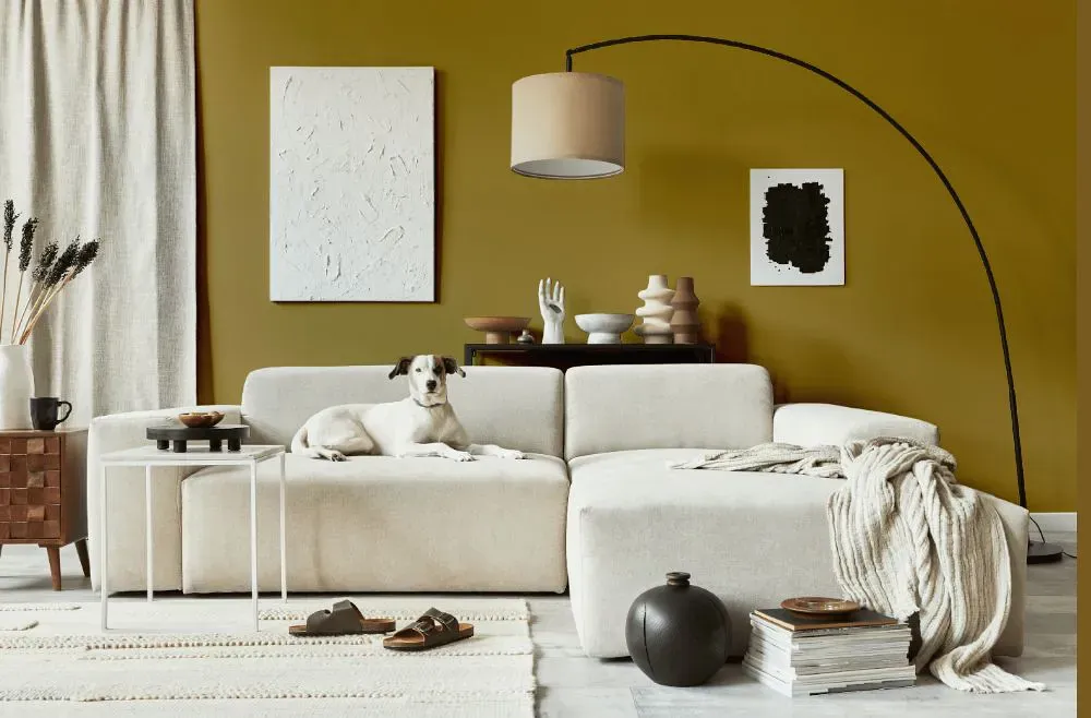 Sherwin Williams Brassy cozy living room