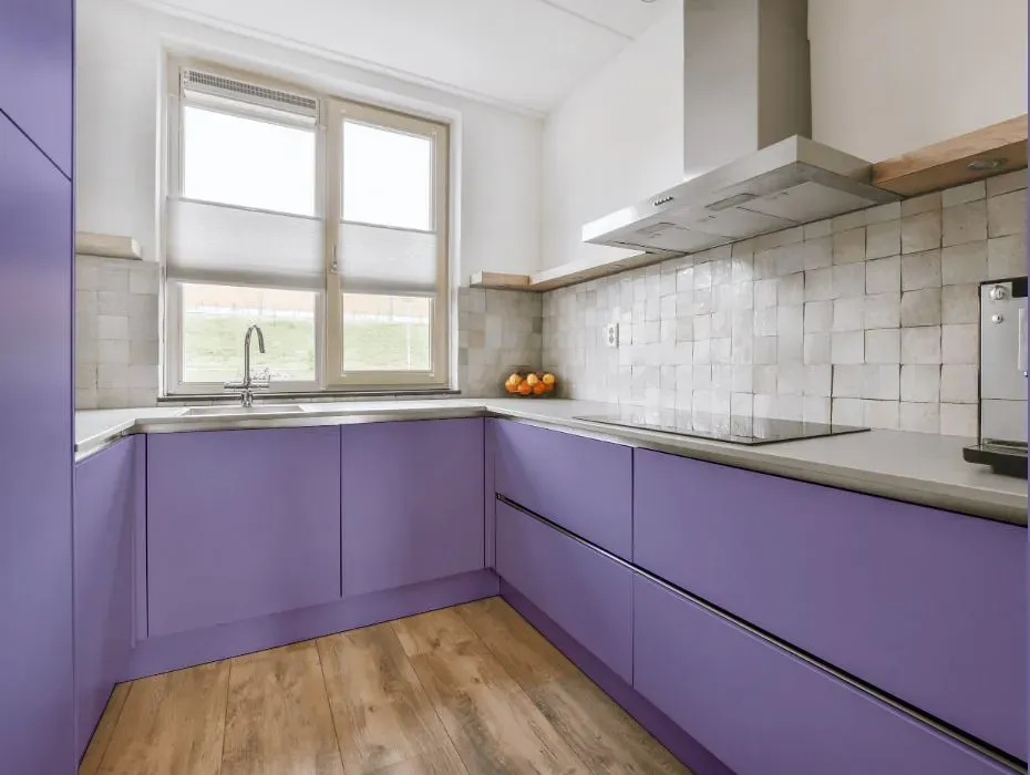 Sherwin Williams Brave Purple small kitchen cabinets