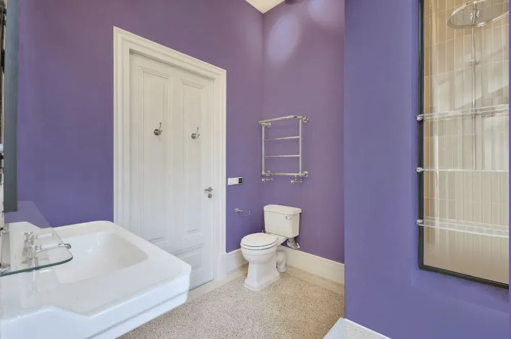 Sherwin Williams Brave Purple bathroom