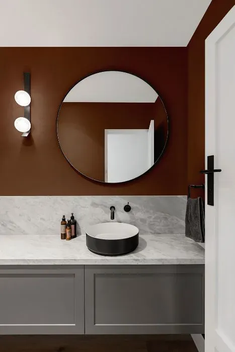 Sherwin Williams Brevity Brown minimalist bathroom