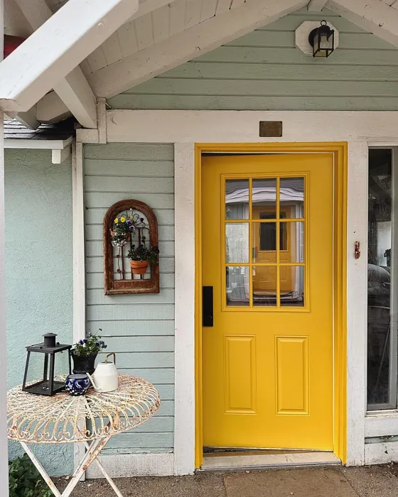 SW Brittlebush front door color