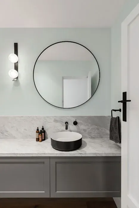 Sherwin Williams Brooklet minimalist bathroom