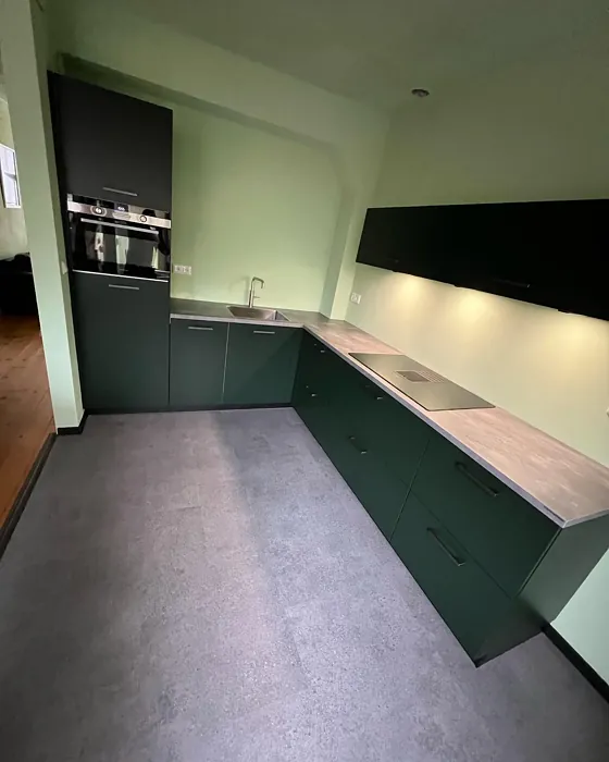 RAL 6008 kitchen cabinets paint