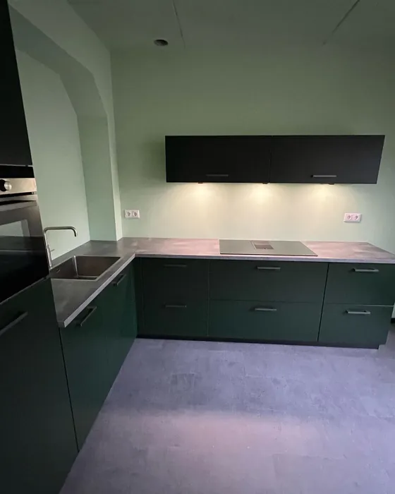 RAL 6008 kitchen cabinets review