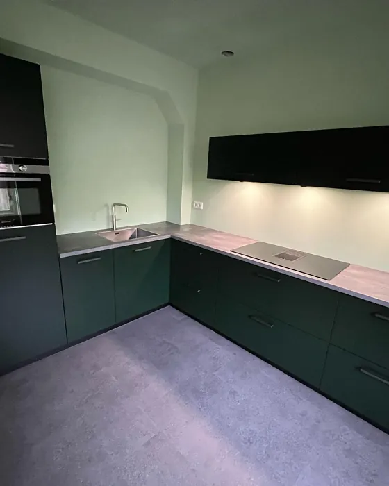 RAL 6008 kitchen cabinets 