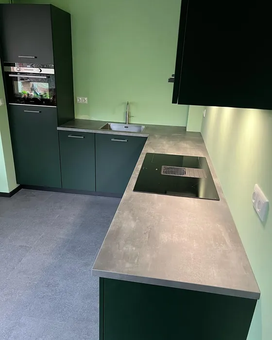 RAL Classic  Brown green kitchen cabinets 