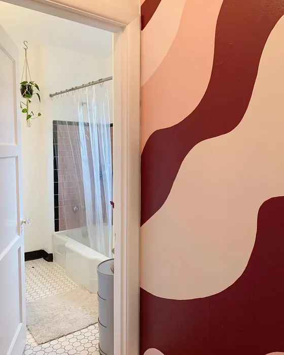 Sherwin Williams Burgundy bathroom paint review