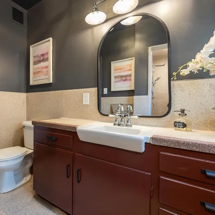 Sherwin Williams Burgundy bathroom color review