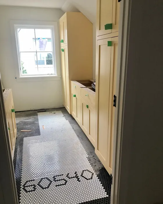 Sherwin Williams Butter Up kitchen cabinets color