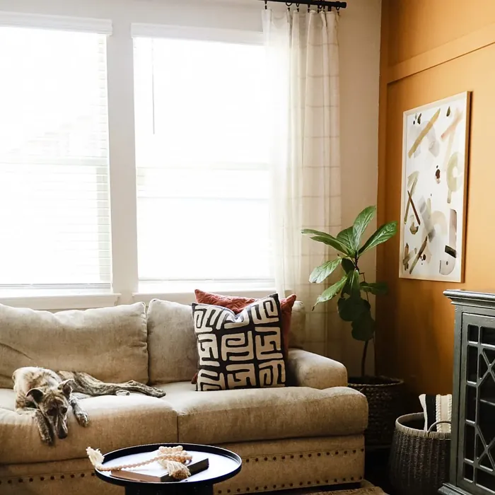 Sherwin Williams Butterscotch Living Room Accent Wall