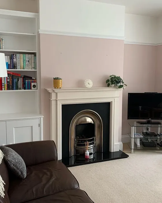 Calamine living room fireplace paint review