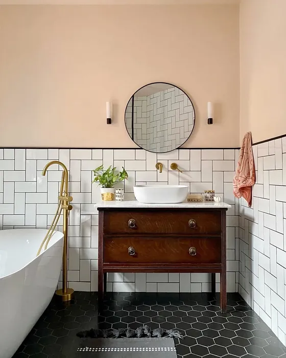 Farrow and Ball Calamine bathroom color