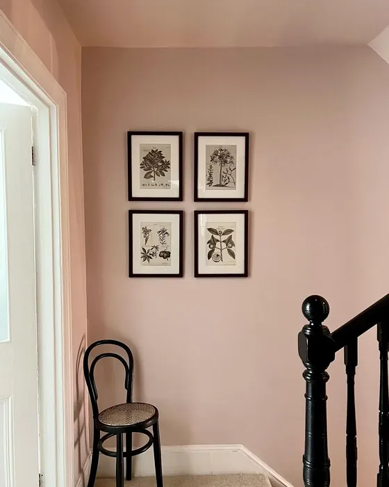 Calamine stairs paint